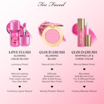 Love Flush Blush, Love Letter, NET WT. 0.20 OZ. / 6.0 mL